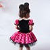 Minnie Mouse Kız Çocuk Kostümü